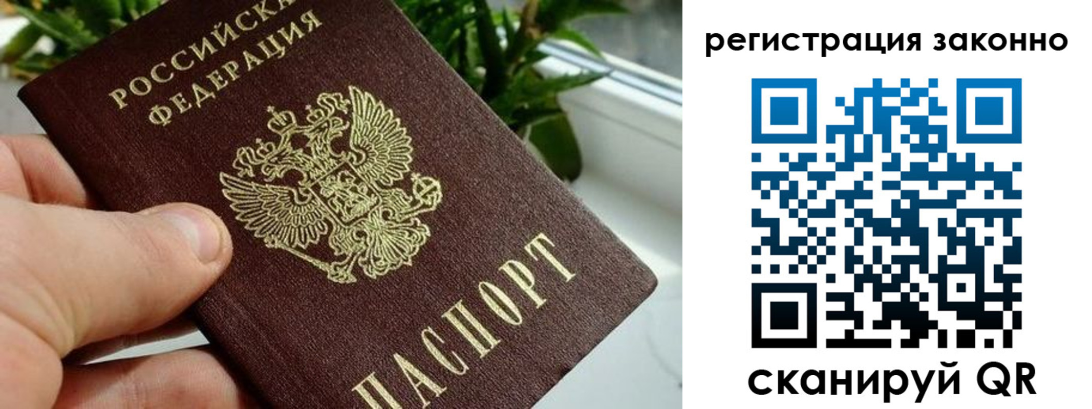 прописка гарантия в Змеиногорске
